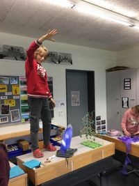 IMG_8654