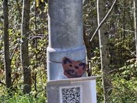 0b0b5173-bc05-41c2-9efe-db2ae1ac4c82