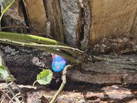 3ca35316-a36d-46b7-8b9e-3ed4beae8ef8