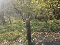 d7618989-9428-447b-ab3b-c7904c3b0309