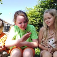 4df8c0b3-48be-4c15-a6bb-d6881c26bfa1