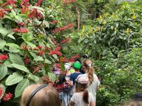 1905e49f-3887-4a54-a81d-60523c76b417