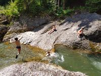 8e703304-7b9a-4624-9682-18563810985b