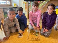 25636bbc-03e5-4992-a9f9-172d4191cbd3