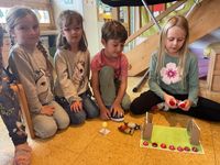 ebc6fcbb-6bc4-44c7-bd2d-fbd4b5205b7c