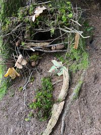 bcb55079-d547-4ccb-b6c9-4e42e28717ce