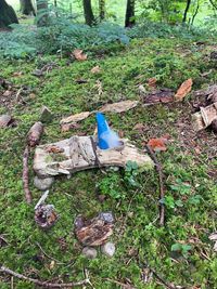 d1cbb715-7398-4293-89c0-38f725fbbcfe