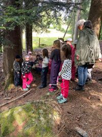 d4af7b05-3f8c-4e6f-a45d-6cd6c2859f14