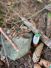 f12cb760-5bd6-4b2f-8cd8-38d20f39cc4d