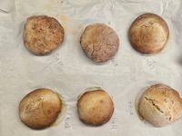 5f05ac75-0a3b-455d-91a8-a7fb769931ed